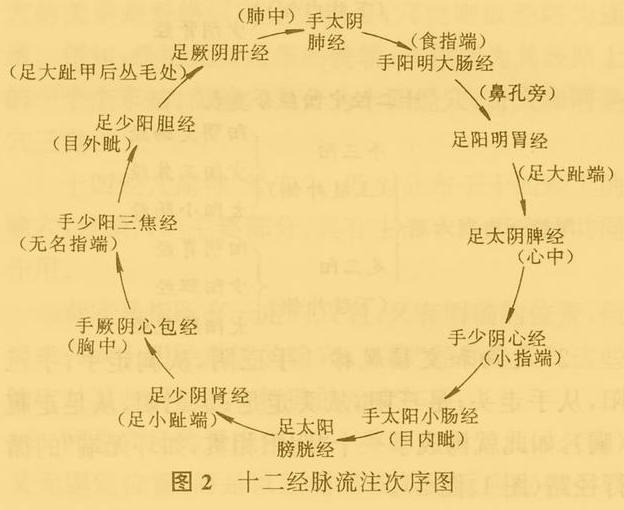 十二经脉流注次序图