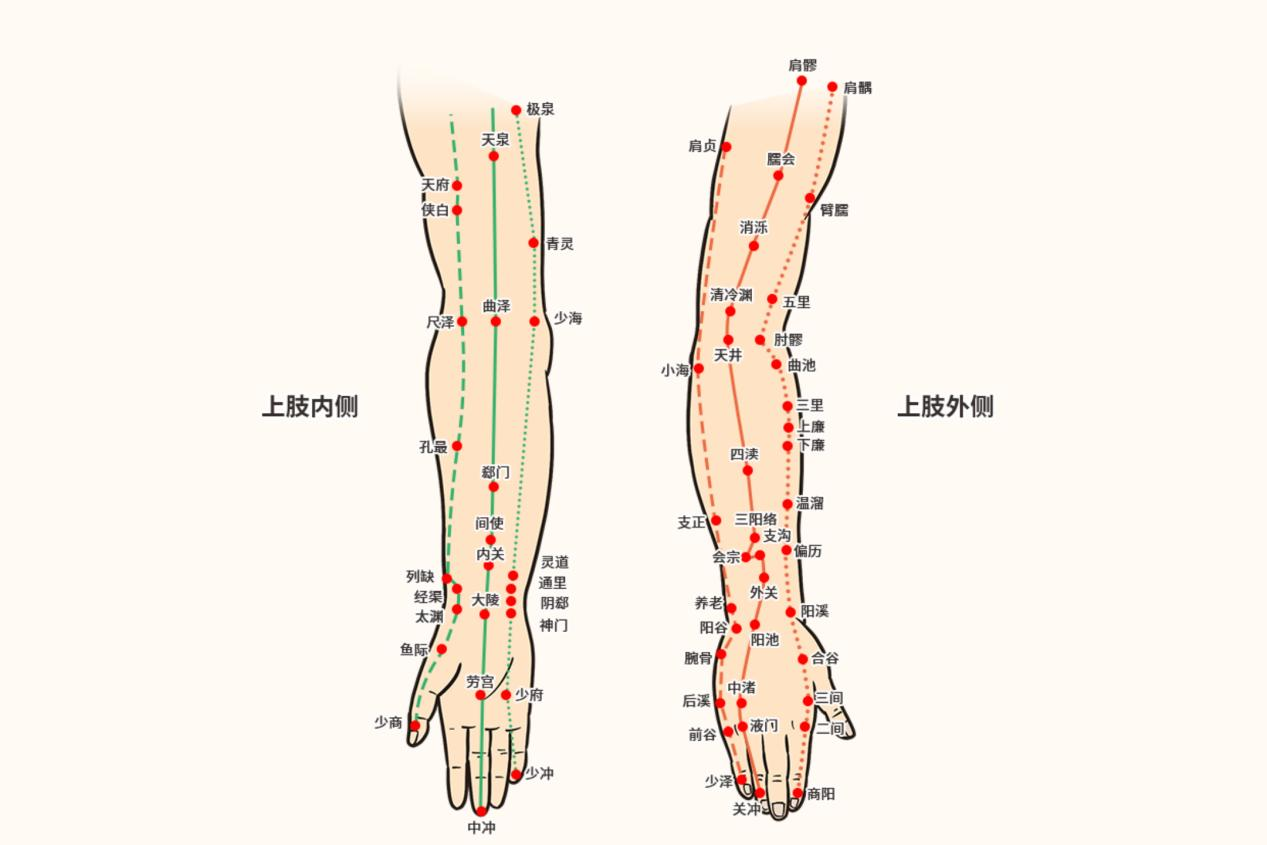 手三阴手三阳经络图