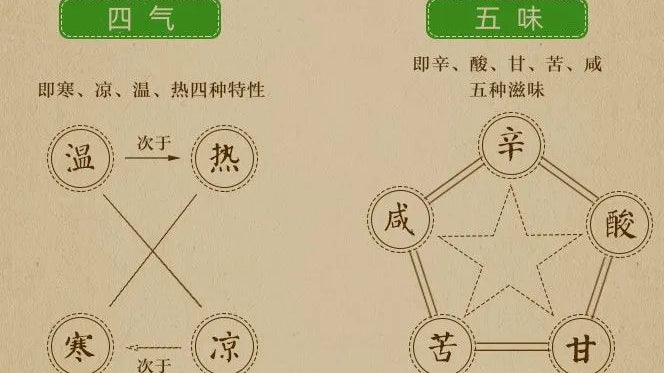 中药四气五味图