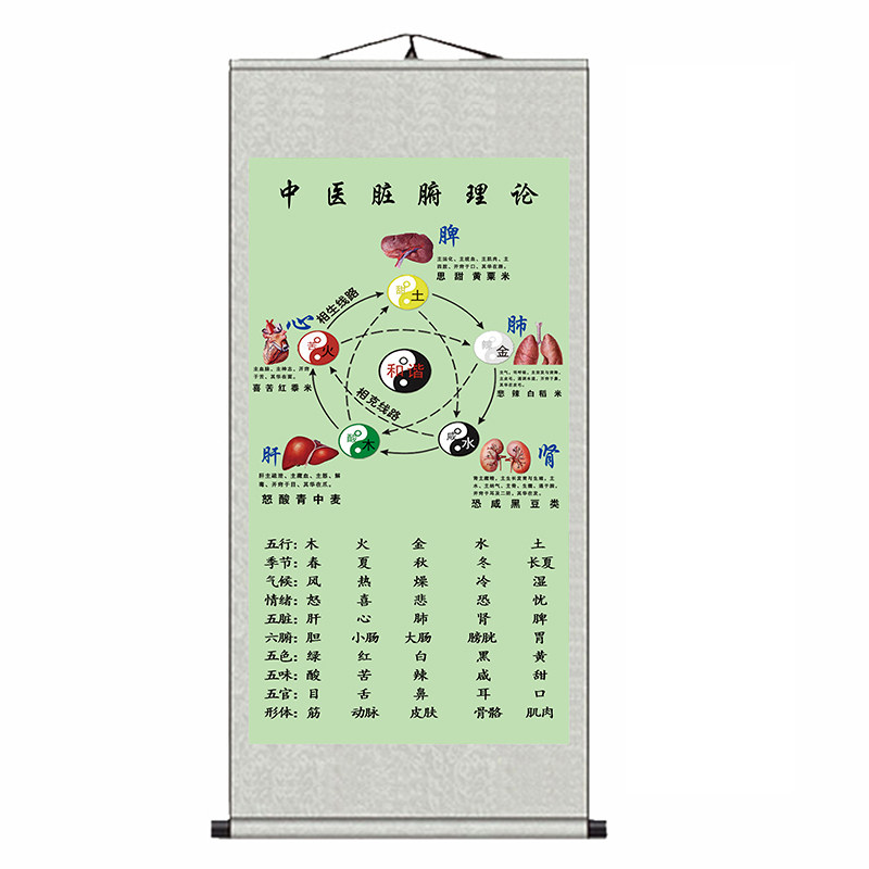 中医脏腑理论图
